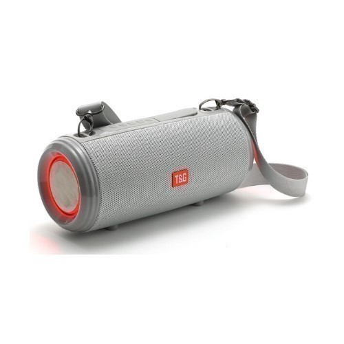 ALTAVOZ T&G TG537 PLATA